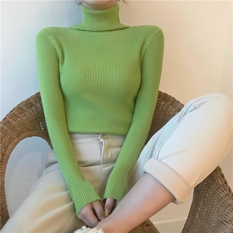 AOSSVIAO SlimFit Turtleneck Knit Sweater