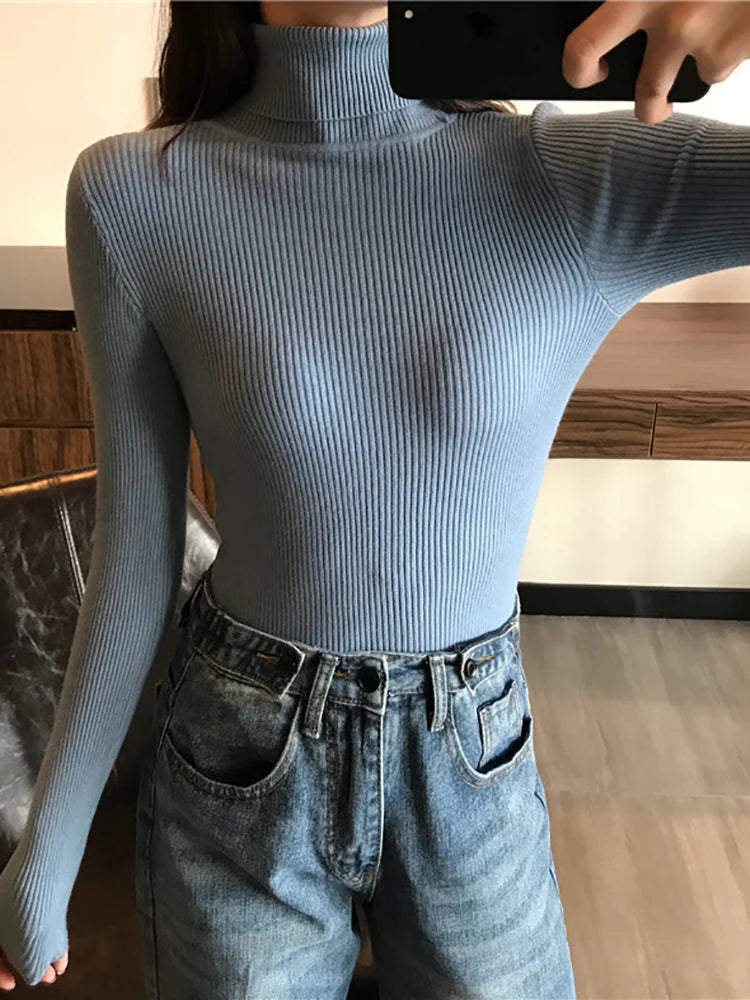 AOSSVIAO SlimFit Turtleneck Knit Sweater