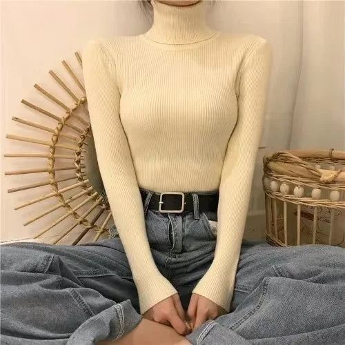Women Heap Turtleneck Autumn Winter Sweater New Fashion Pullover Elastic Knit Ladies Jumper Casual Solid Soft Female Basic Tops