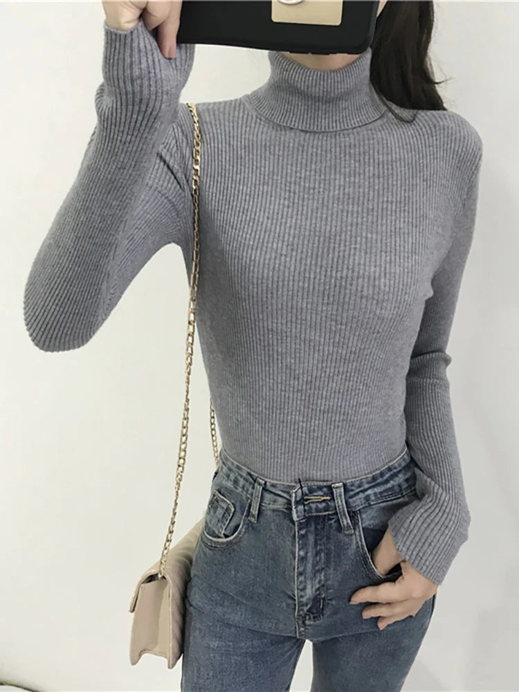 AOSSVIAO SlimFit Turtleneck Knit Sweater