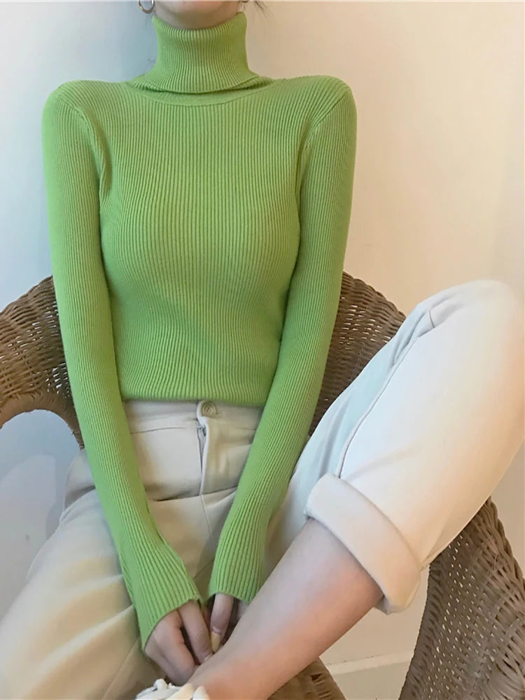 AOSSVIAO SlimFit Turtleneck Knit Sweater