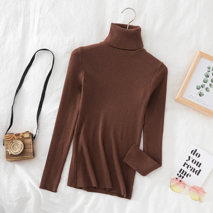 AOSSVIAO Slim Fit Turtleneck Autumn/Winter Sweater